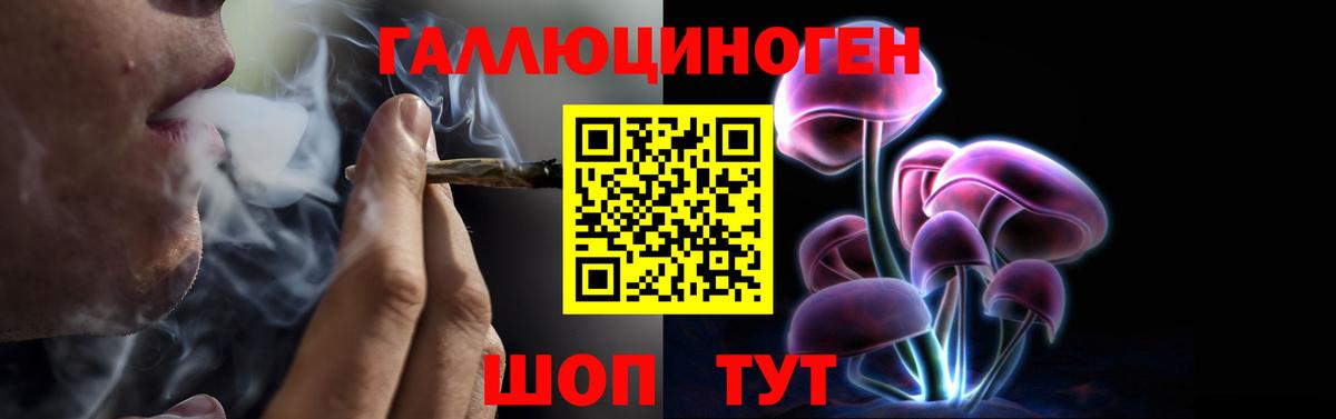 Псилоцибиновые грибы Magic Shrooms  где найти   Вход с VPN  Азнакаево  Галлюциногенные грибы Magic Shrooms 